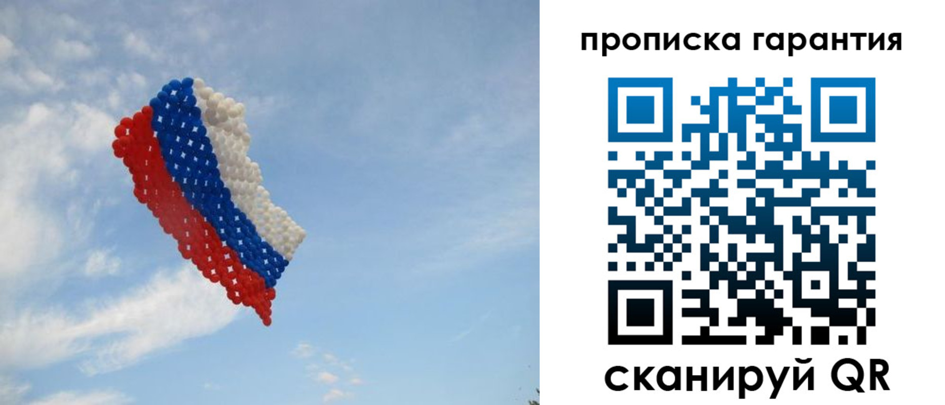 регистрация в Ярославской области